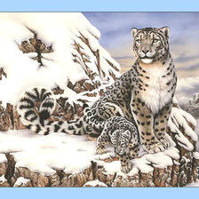 Схема вышивки «Снежный барс.»