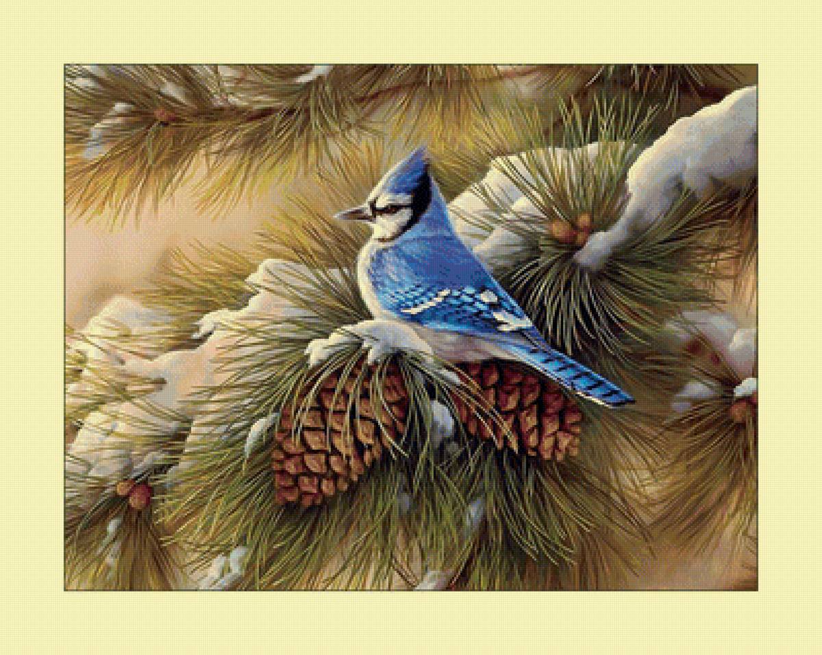 Зимняя птичка. - зима, птицы, ель, снег, шишки - предпросмотр