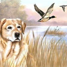 Схема вышивки «№1988461»