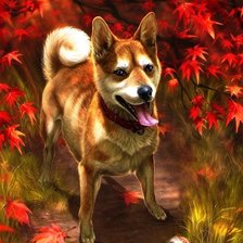 Схема вышивки «№1988533»