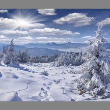 Схема вышивки «№1988573»