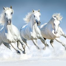 Схема вышивки «№1988619»