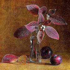 Схема вышивки «Натюрморт.»