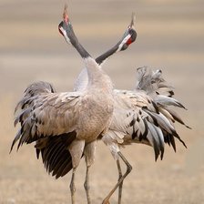 Схема вышивки «№1988690»