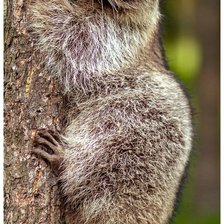 Схема вышивки «№1988709»