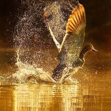 Схема вышивки «№1988719»