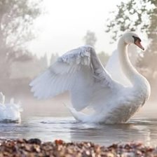 Схема вышивки «№1988727»