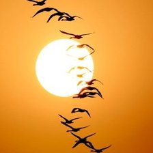 Схема вышивки «№1988732»