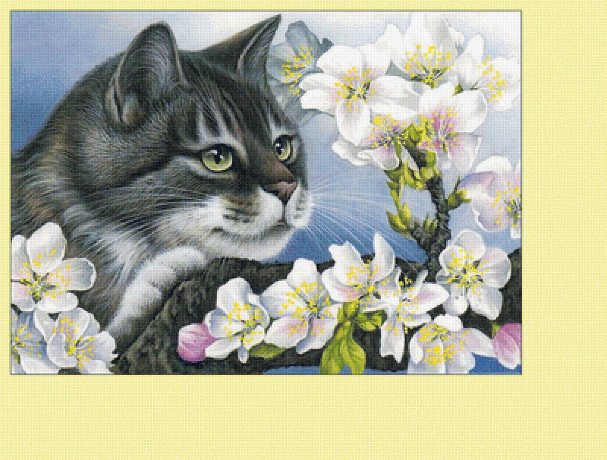 Котик. - ветка, цветы, животные, кот - предпросмотр