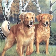 Схема вышивки «№1989104»