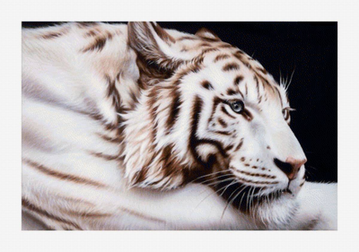 №1989147 - тигры, тигр, хищники, животные - предпросмотр