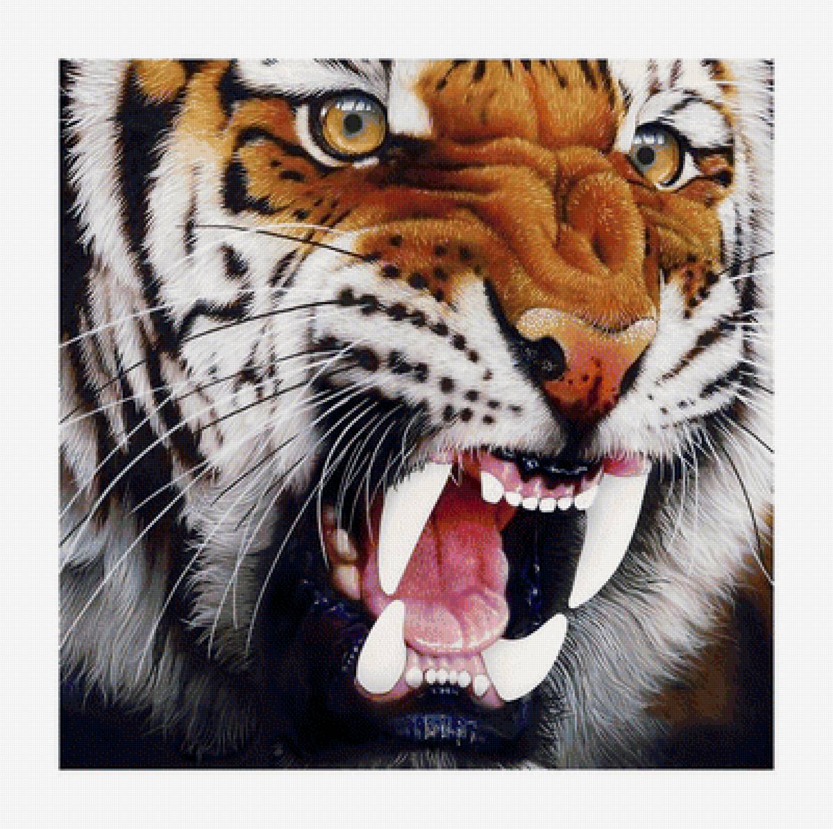 №1989149 - хищники, тигр, животные, тигры - предпросмотр