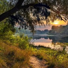 Схема вышивки «№1989272»