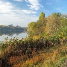 Схема вышивки «№1989274»