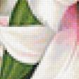 Предпросмотр схемы вышивки «Лилии» (№1989328)