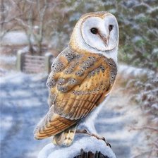 Схема вышивки «птицы»