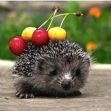 Схема вышивки «еж с вишней»