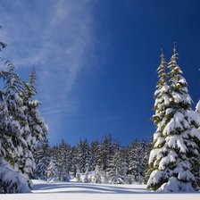 Схема вышивки «№1989628»