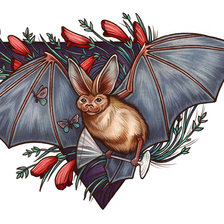 Схема вышивки «№1989804»