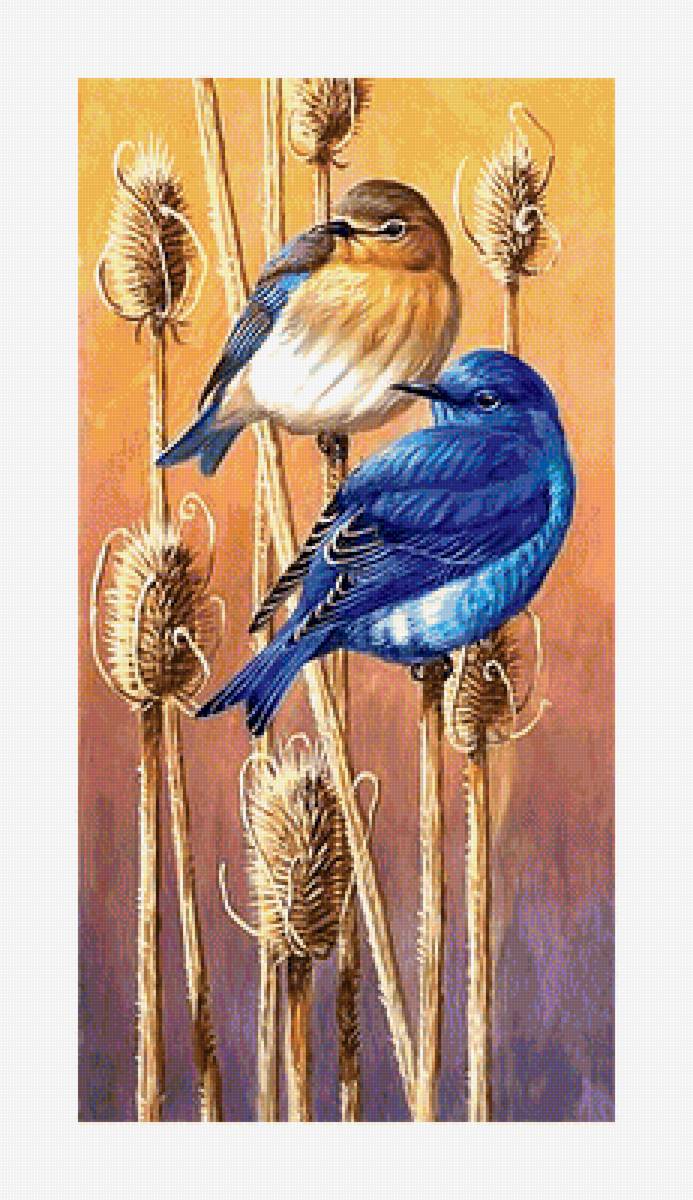 Серия "Птицы" - фауна, птицы - предпросмотр