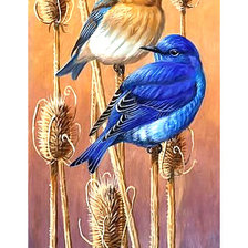 Схема вышивки «Серия "Птицы"»