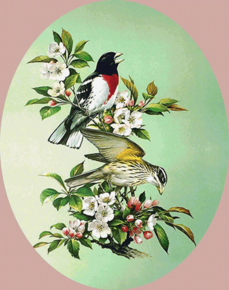 Серия "Птицы" - птицы, фауна - предпросмотр