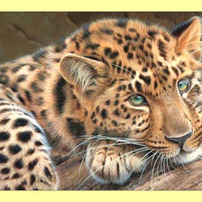 Схема вышивки «Леопард.»