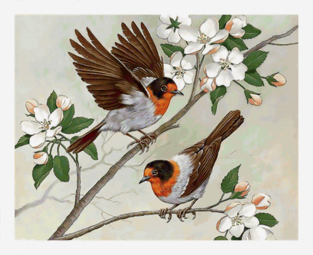 Серия "Птицы" - фауна, птицы - предпросмотр