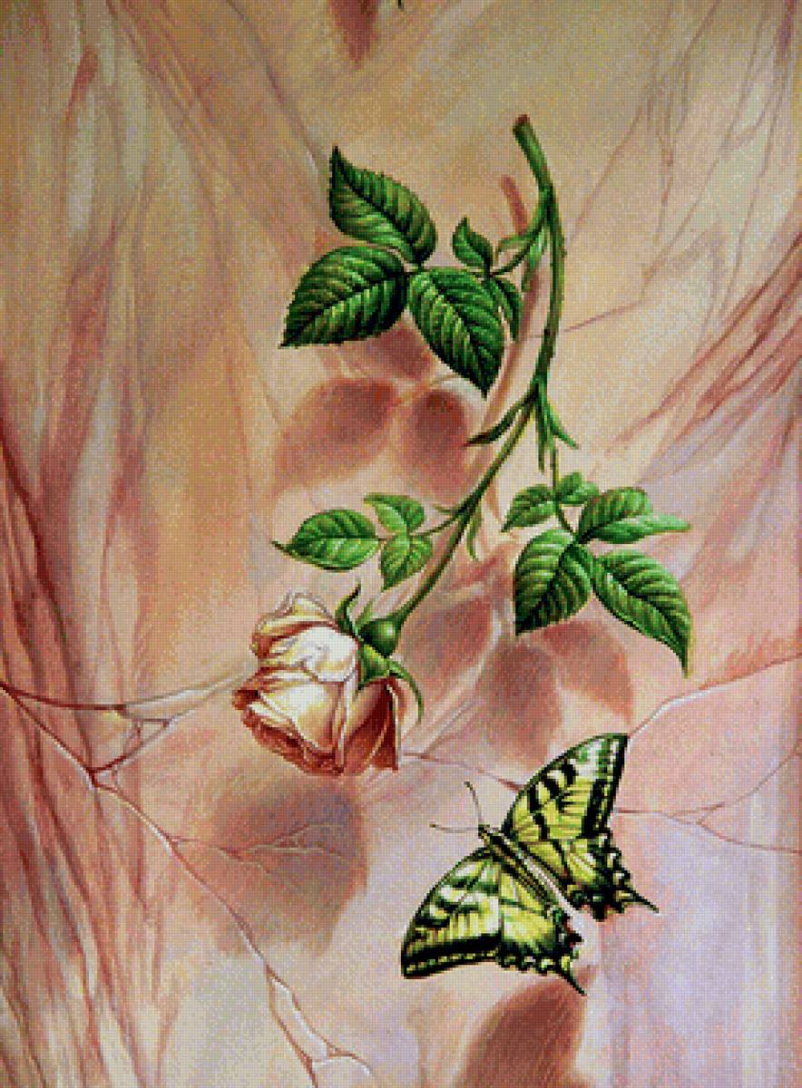 цветок и бабочка - бабочка, роза - предпросмотр