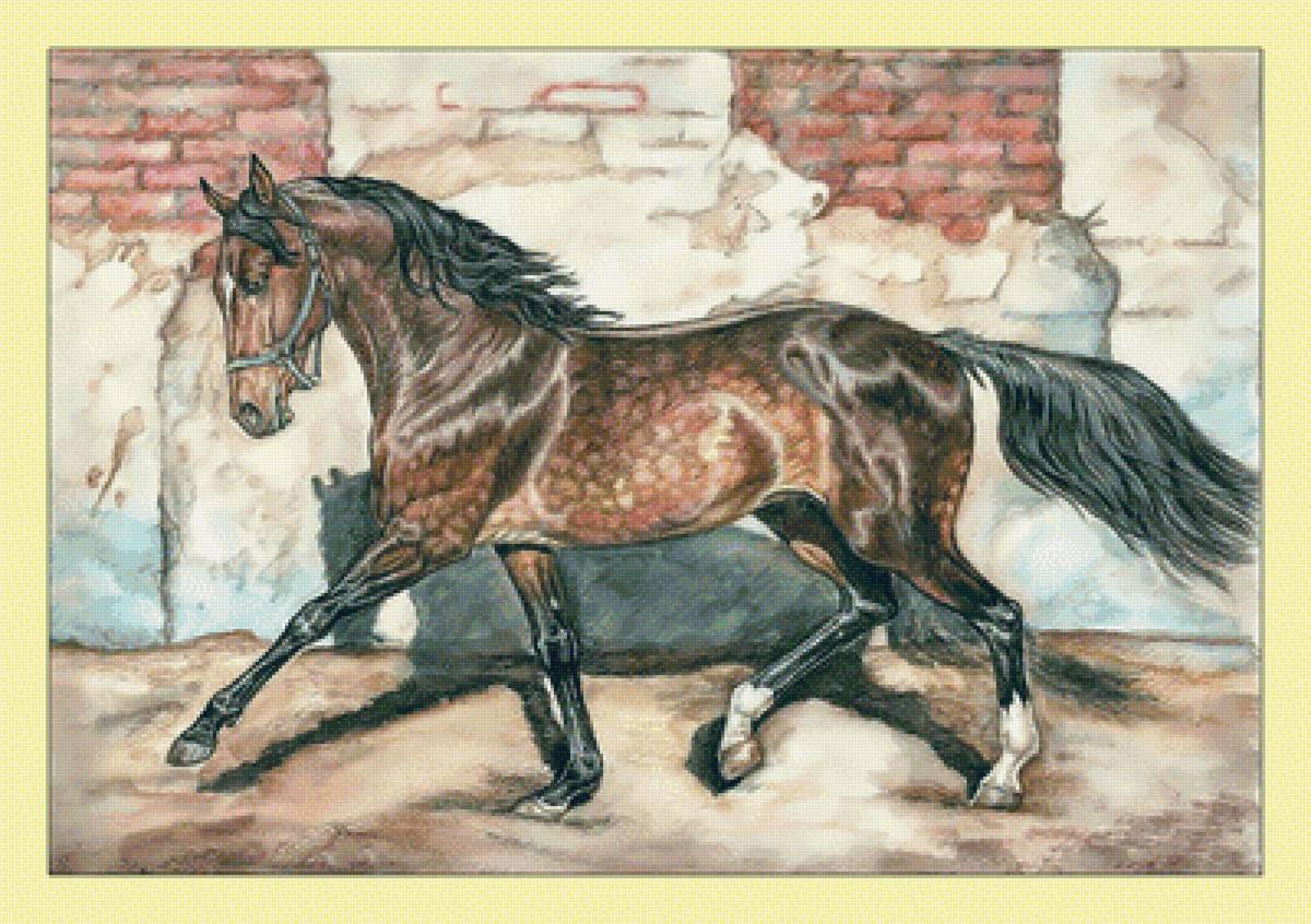 Орловский рысак. - животные, лошадь, живопись, конь - предпросмотр