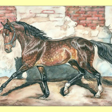 Орловский рысак.