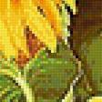 Предпросмотр схемы вышивки «подсолнухи» (№1989953)