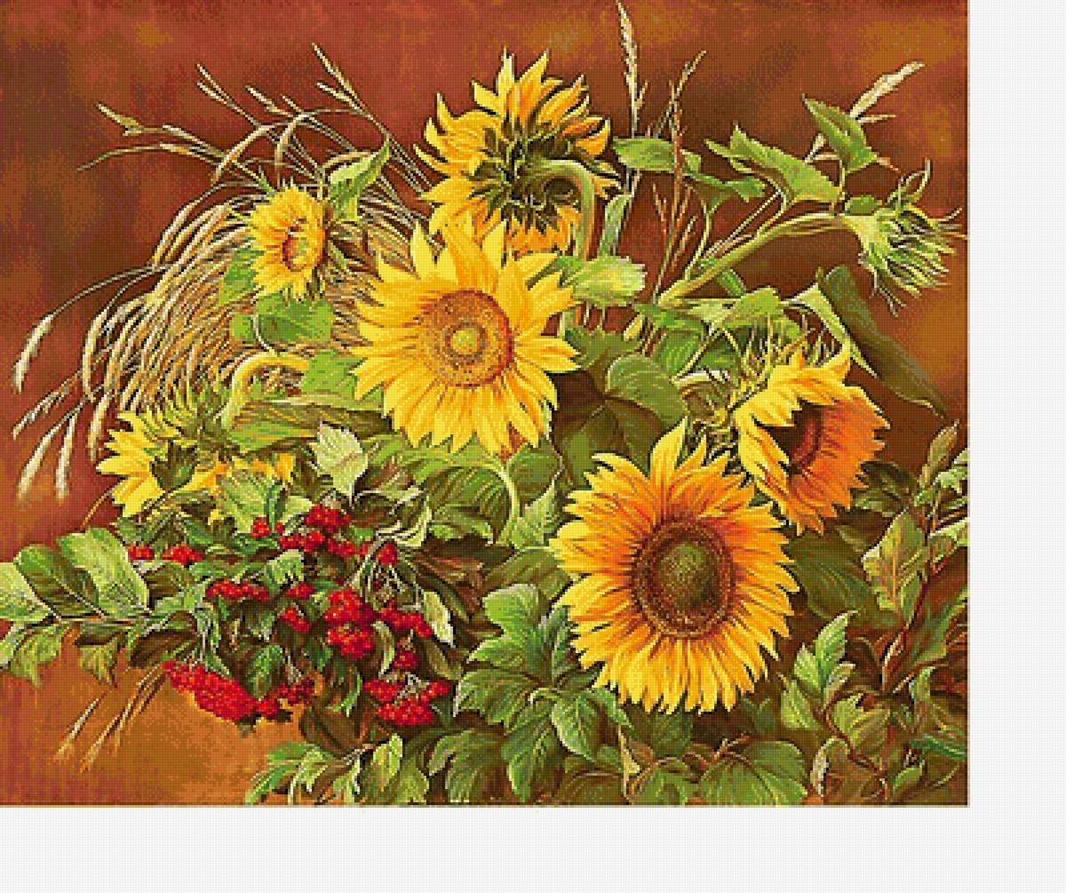 подсолнухи - цветы, подсолнухи - предпросмотр