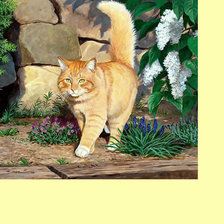Схема вышивки «Рыжий котик.»