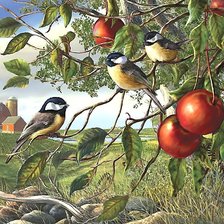 Схема вышивки «птицы»