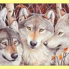 Схема вышивки «Волки.»