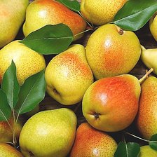 Схема вышивки «№1990358»