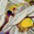 Предпросмотр схемы вышивки «Букетик полевых цветов» (№1990879)