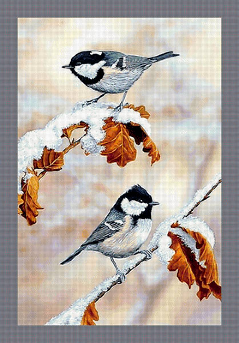 Серия "Птицы" - птицы, фауна - предпросмотр