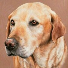 Схема вышивки «Собака»