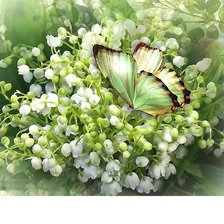 Схема вышивки «№1991306»