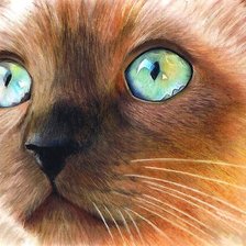 Схема вышивки «Бирюзовые глаза»