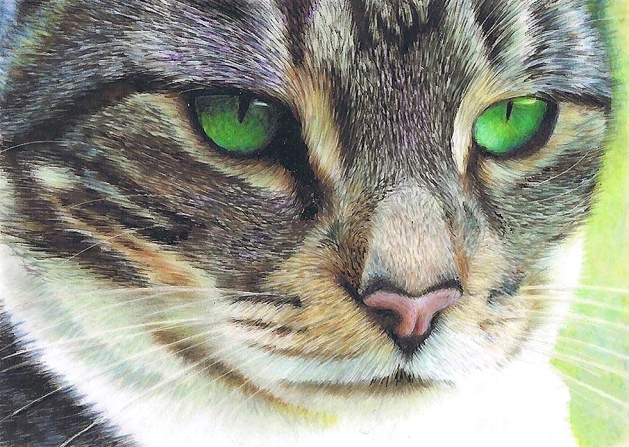 Изумрудные глаза - кошки - оригинал