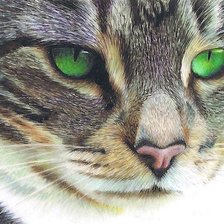 Изумрудные глаза