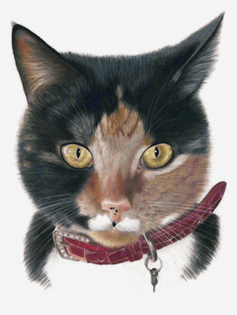 Кошечка - кошки - предпросмотр