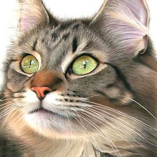 Схема вышивки «Главный герой»