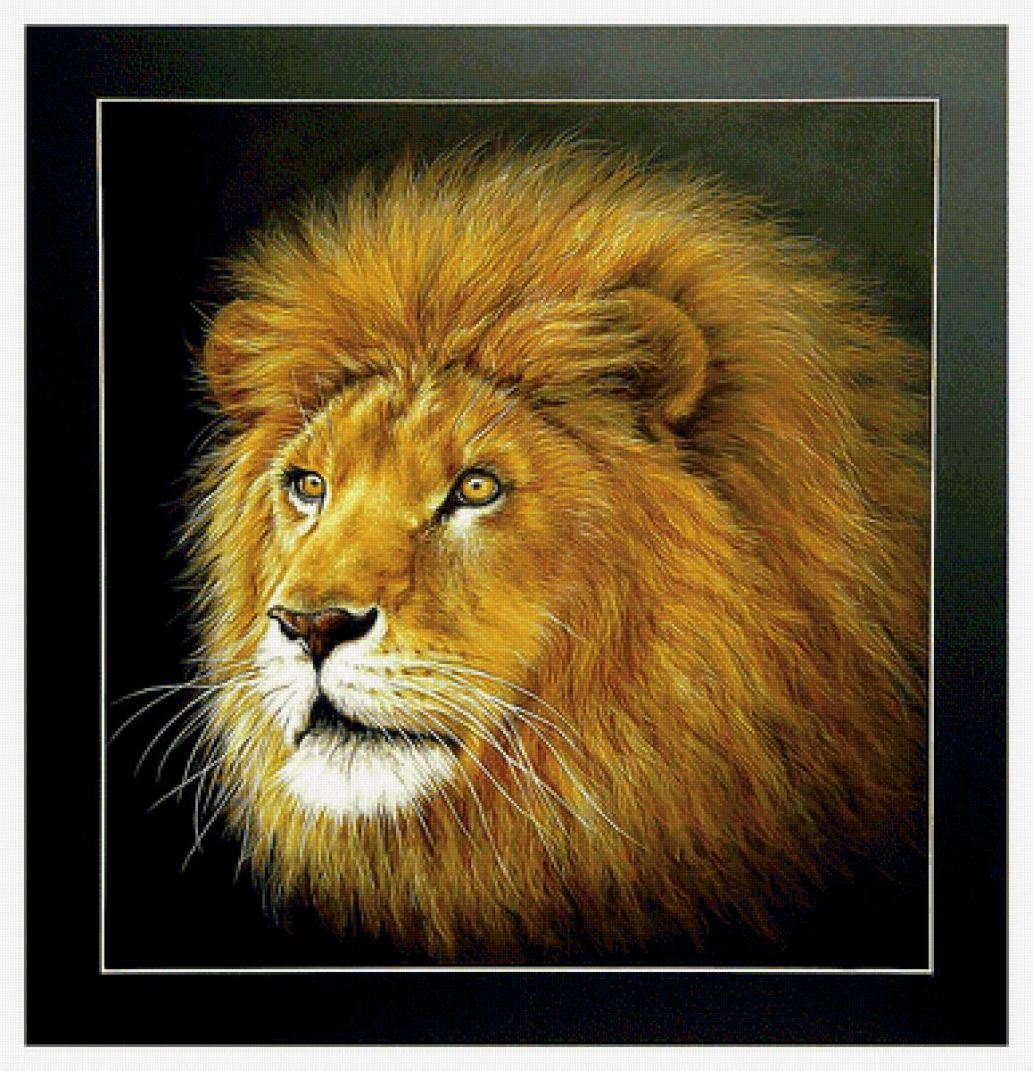 Лёва. - живопись, лев, взгляд, хищник, животные - предпросмотр