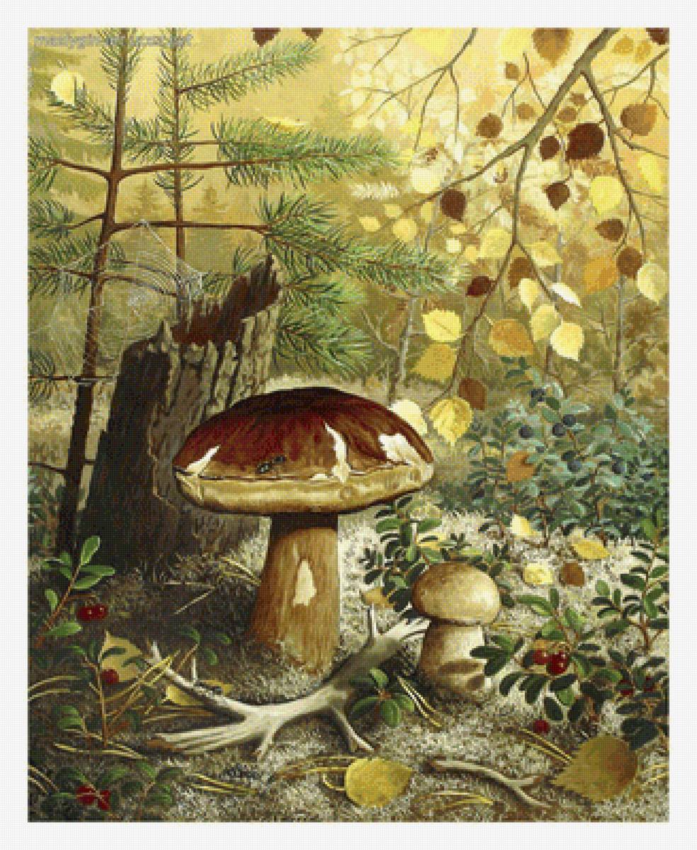 Серия "Грибы" - грибы, боровик, флора - предпросмотр