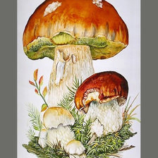 Схема вышивки «Серия "Грибы"»