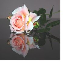 Схема вышивки «№1991930»